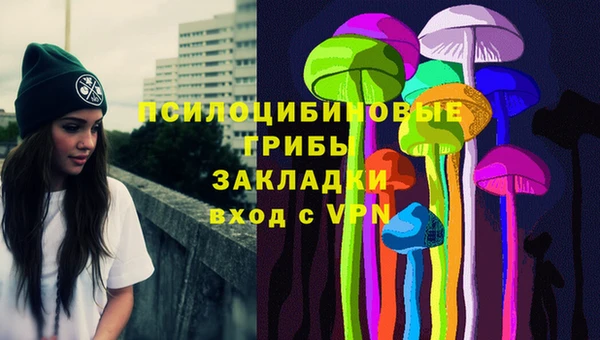сатива Аркадак