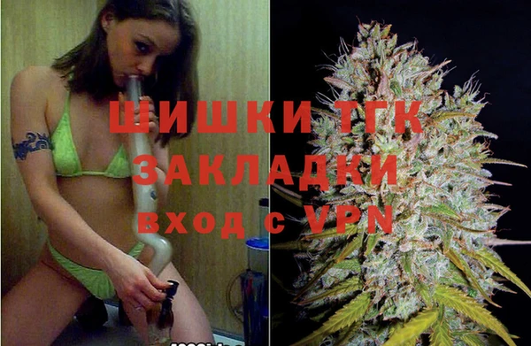 сатива Аркадак