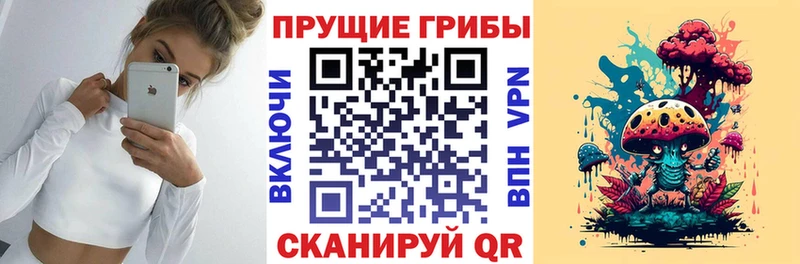 Купить закладки  Яранск  Псилоцибиновые грибы GOLDEN TEACHER 